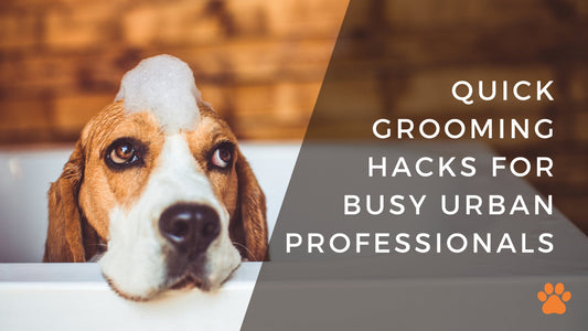 Quick Grooming Hacks for Busy Urban Professionals - Bogart Pro