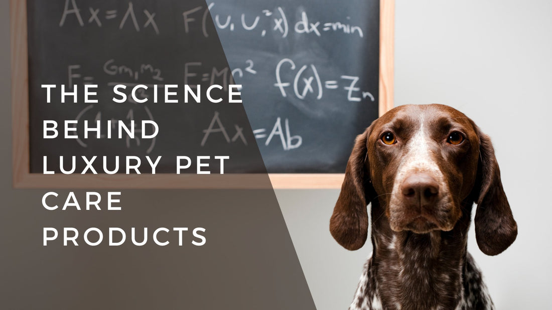 The Science Behind Luxury Dog Grooming Products - Bogart Pro
