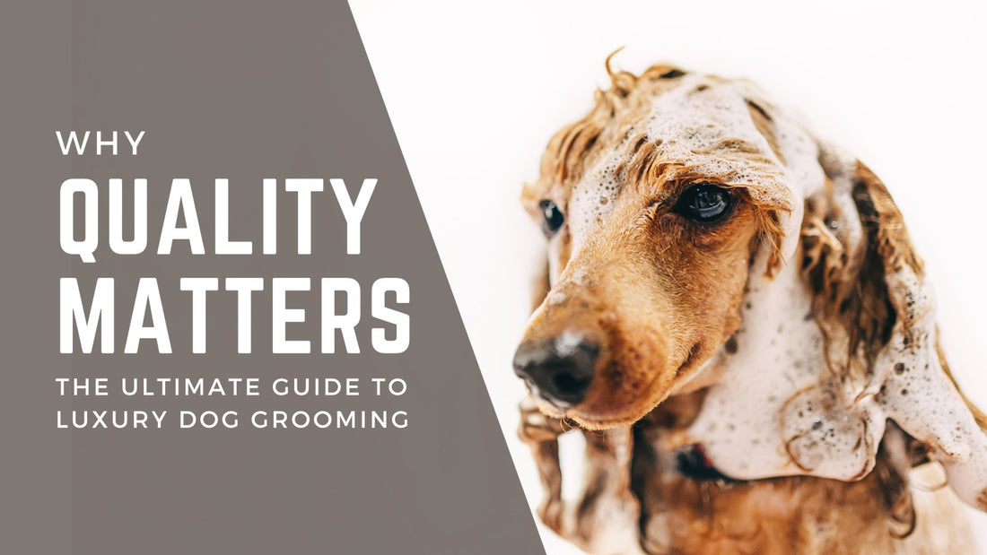 The Ultimate Guide to Luxury Dog Grooming: Elevate Your Pet’s Care with Bogart Pro - Bogart Pro