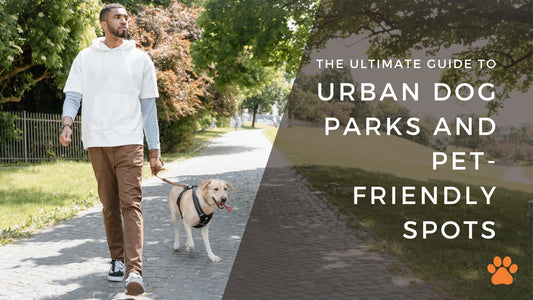 The Ultimate Guide to Urban Dog Parks and Pet-Friendly Spots - Bogart Pro
