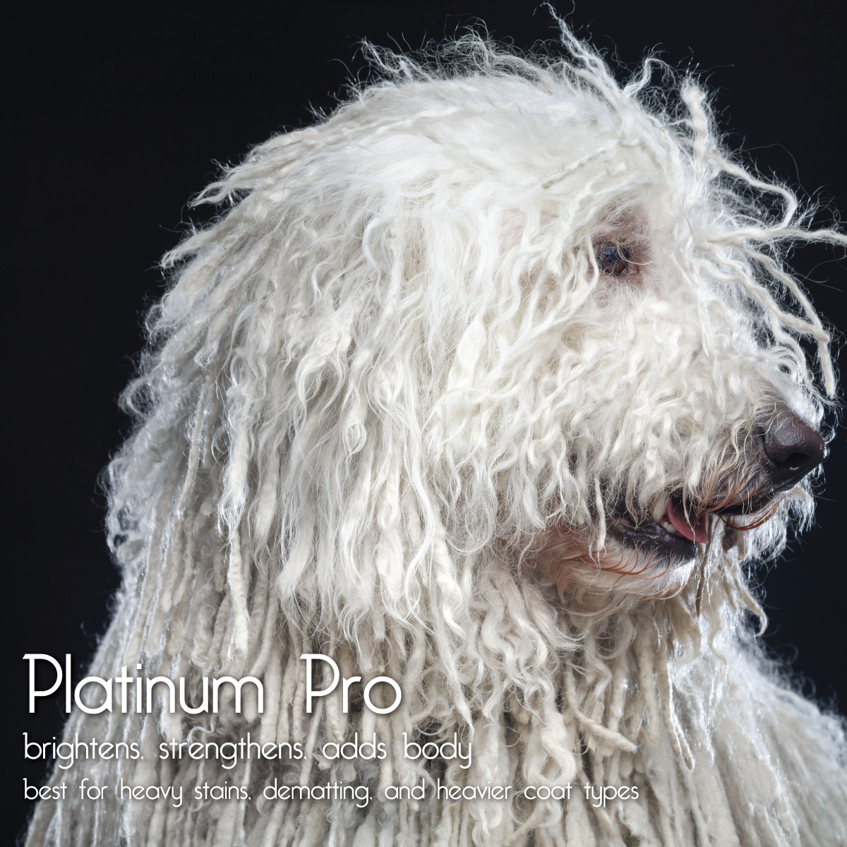 Platinum Pro Dogs Use