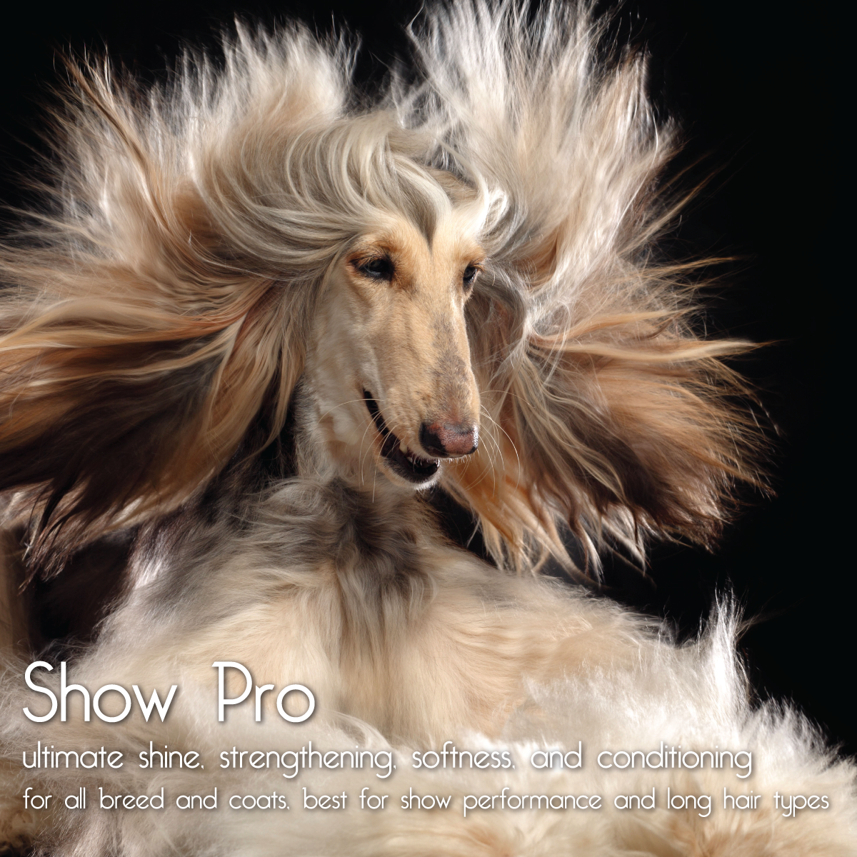 Show Pro+ Products