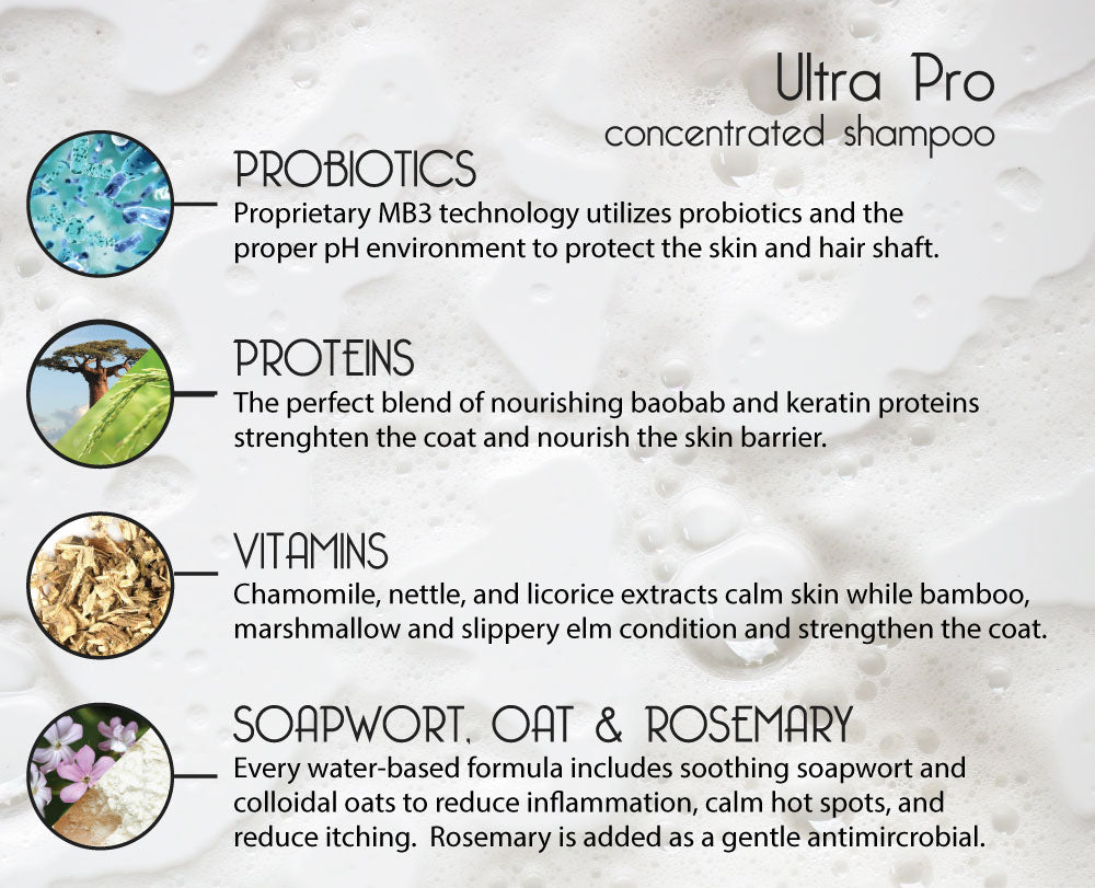 Ultra Pro Concentrated Shampoo About